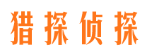 卫东侦探公司